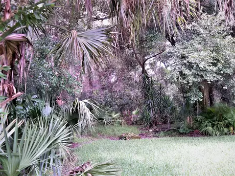 1487 Pecos Dr, Ormond Beach, FL 32174 photo 9