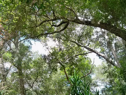 1487 Pecos Dr, Ormond Beach, FL 32174 photo 5