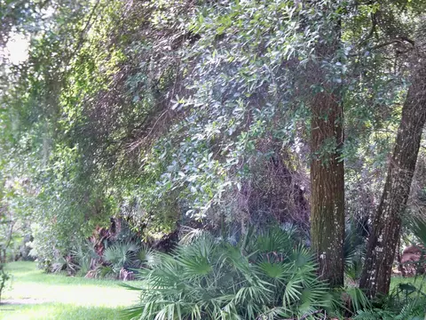 1487 Pecos Dr, Ormond Beach, FL 32174 photo 8