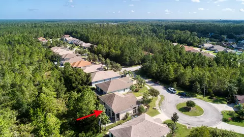 53 Westland Run, Ormond Beach, FL 32174 photo 43