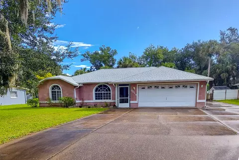 3019 Mango Tree Dr, Edgewater, FL 32141 photo 1