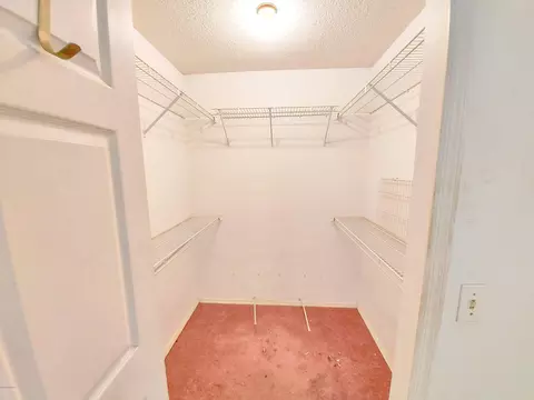 3019 Mango Tree Dr, Edgewater, FL 32141 photo 6