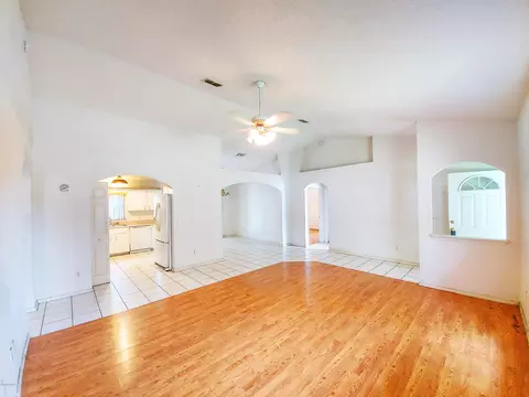 3019 Mango Tree Dr, Edgewater, FL 32141 photo 3