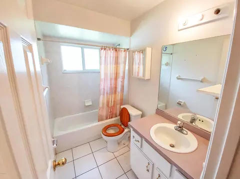 3019 Mango Tree Dr, Edgewater, FL 32141 photo 8