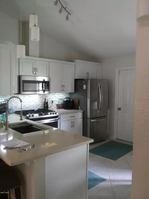 2929 Needle Palm Dr, Edgewater, FL 32141 photo 3