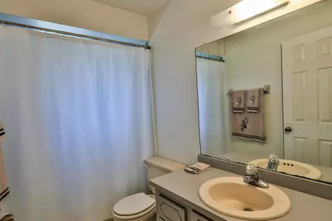 3124 Pine Tree Dr, Edgewater, FL 32141 photo 7