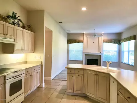 33 Black Hickory Way, Ormond Beach, FL 32174 photo 3