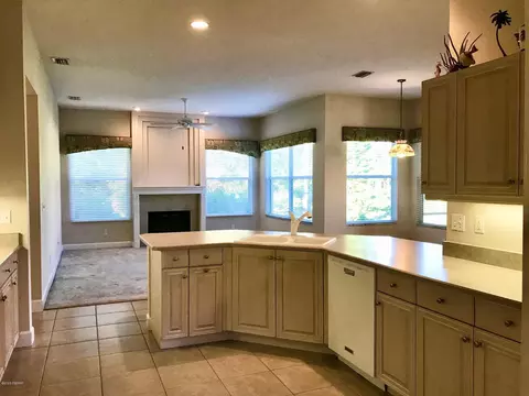 33 Black Hickory Way, Ormond Beach, FL 32174 photo 4