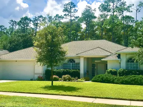 33 Black Hickory Way, Ormond Beach, FL 32174 photo 36
