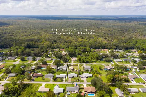 3310 Unity Tree Dr, Edgewater, FL 32141 photo 39
