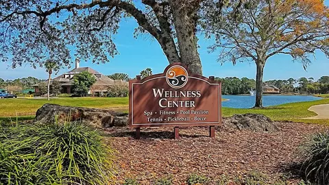 33 Kingsley Cir, Ormond Beach, FL 32174 photo 45