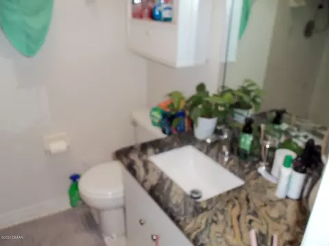 3312 Juniper Dr, Edgewater, FL 32141 photo 41