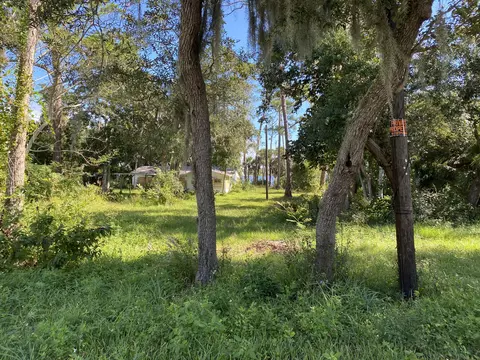 387 N Beach St, Ormond Beach, FL 32174 photo 4