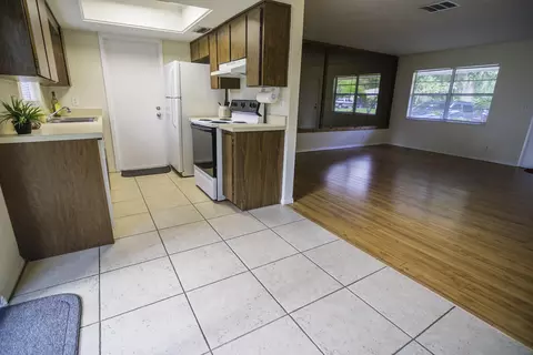 334 Tropical Ln, Ormond Beach, FL 32174 photo 6