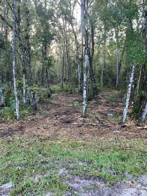 1817 Coconut Blvd, Bunnell, FL 32110 photo 2