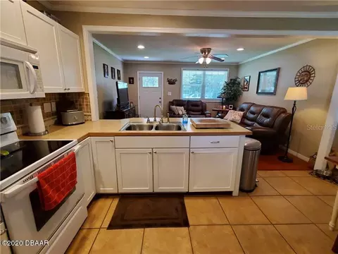 207 Rosewood Ave, Ormond Beach, FL 32174 photo 7