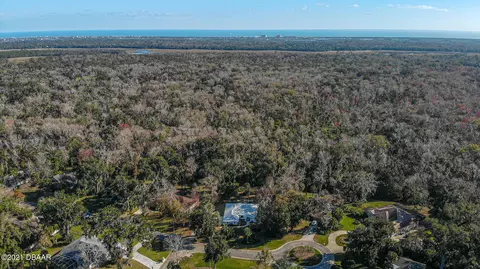 4175 Sanora Ln, Ormond Beach, FL 32174 photo 8