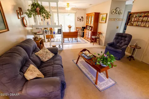 2406 Orange Tree Dr, Edgewater, FL 32141 photo 23