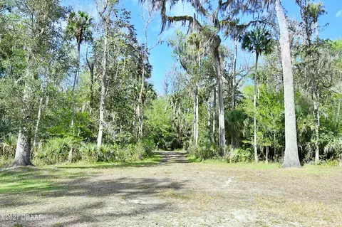 2900 Tangelo Rd, Edgewater, FL 32141 photo 6
