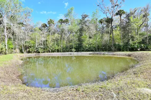 2900 Tangelo Rd, Edgewater, FL 32141 photo 45