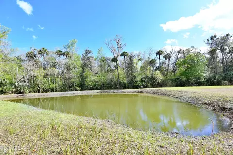 2900 Tangelo Rd, Edgewater, FL 32141 photo 46