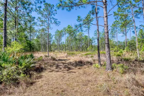 605 Boice Ln, Ormond Beach, FL 32174 photo 24