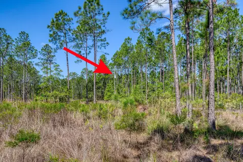 605 Boice Ln, Ormond Beach, FL 32174 photo 7