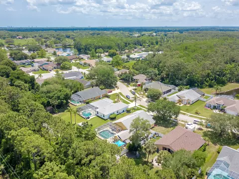 37 Ocean Pines Dr, Ormond Beach, FL 32174 photo 45