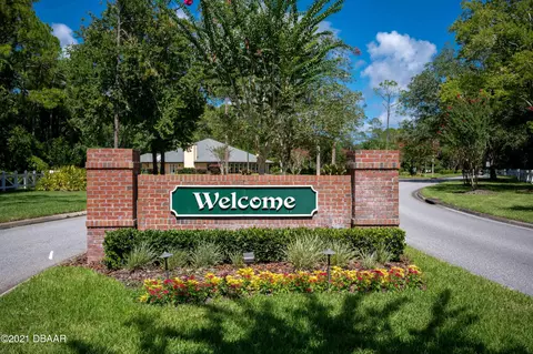 47 Herringbone Way, Ormond Beach, FL 32174 photo 53