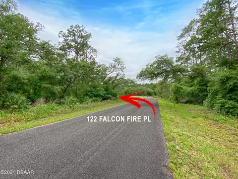 122 Falcon Fire Pl, Bunnell, FL 32110 photo 3
