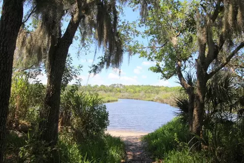 3998 Dakota Cir, Ormond Beach, FL 32174 photo 44