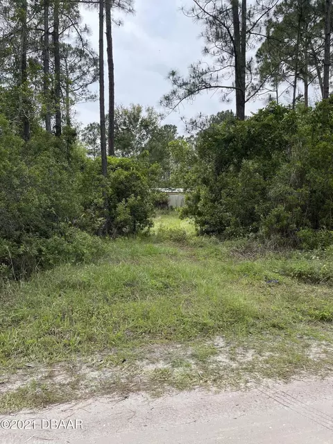 1680 Lemon St, Bunnell, FL 32110 photo 2