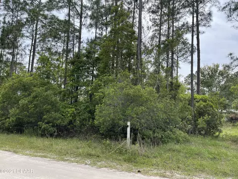 1680 Lemon St, Bunnell, FL 32110 photo 3