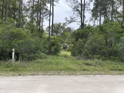 1680 Lemon St, Bunnell, FL 32110 photo 1