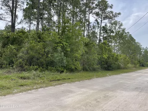 1680 Lemon St, Bunnell, FL 32110 photo 5