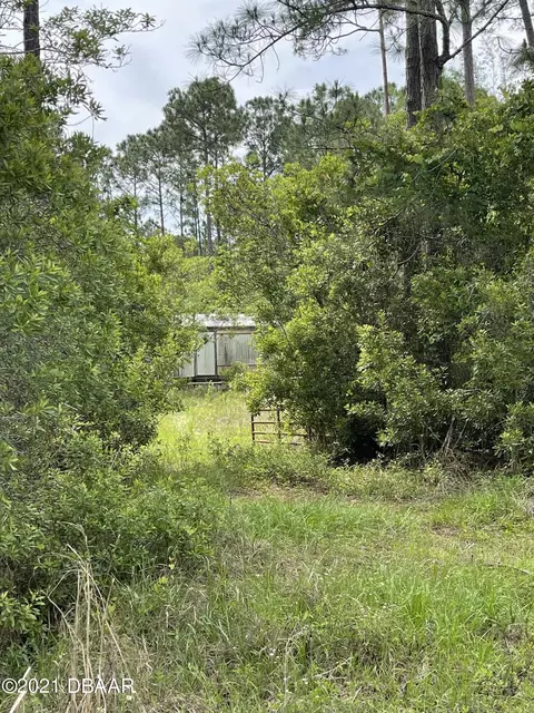 1680 Lemon St, Bunnell, FL 32110 photo 4