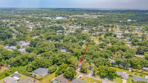 3303 Needle Palm Dr, Edgewater, FL 32141 photo 31