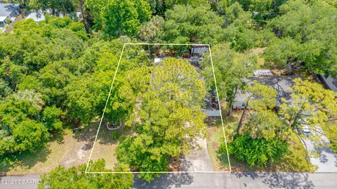 3303 Needle Palm Dr, Edgewater, FL 32141 photo 27