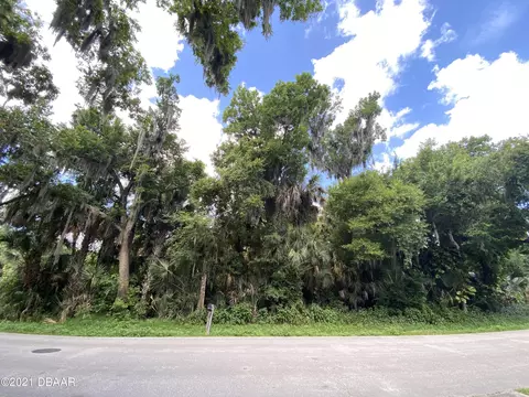 2428 Lime Tree Dr, Edgewater, FL 32141 photo 2