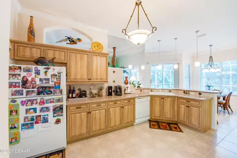 19 Aucuba Cir, Ormond Beach, FL 32174 photo 30