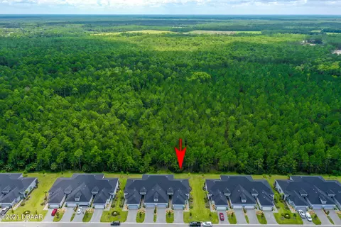 851 Pinewood Dr, Ormond Beach, FL 32174 photo 31