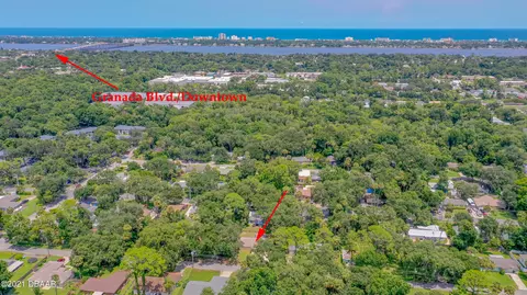 295 Pine St, Ormond Beach, FL 32174 photo 26