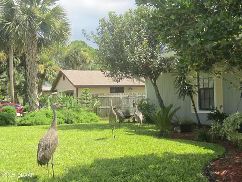 1510 Victory Palm Dr, Edgewater, FL 32132 photo 2