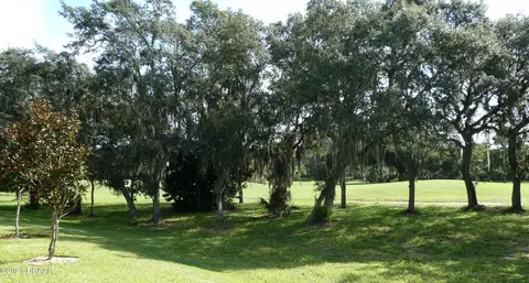 3233 Bailey Ann Dr, Ormond Beach, FL 32174 photo 49