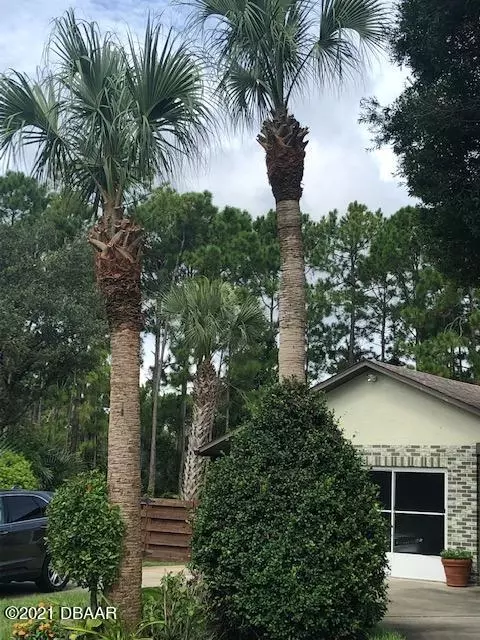 3536 Omni Cir, Edgewater, FL 32141 photo 6