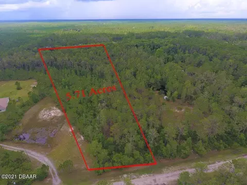 3615 Conifer Ln, Ormond Beach, FL 32174 photo 3