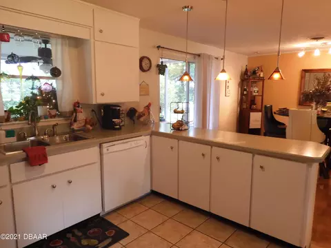 115 Naranga Dr, Edgewater, FL 32132 photo 28