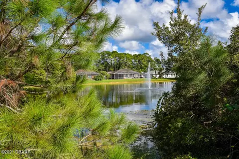 6 Creek Bluff Way, Ormond Beach, FL 32174 photo 8
