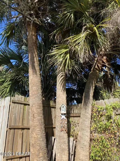 20 Carol Rd, Ormond Beach, FL 32176 photo 15