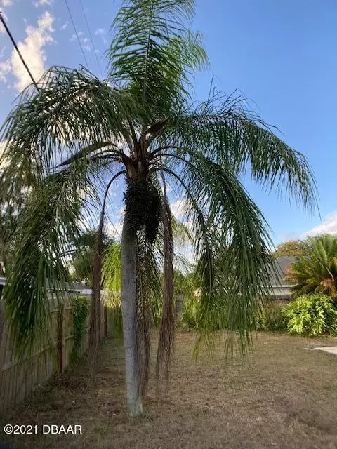 2812 Orange Tree Dr, Edgewater, FL 32141 photo 20